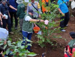 Rudy Susmanto Berhasil Realisasikan 156,44 Hektare Hutan Kota dengan 45.152 Pohon Tertanam Dalam 4 Bulan